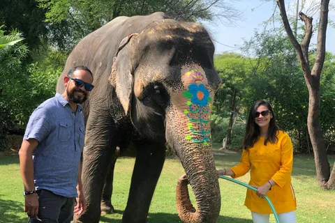 Elephant Interaction Tour