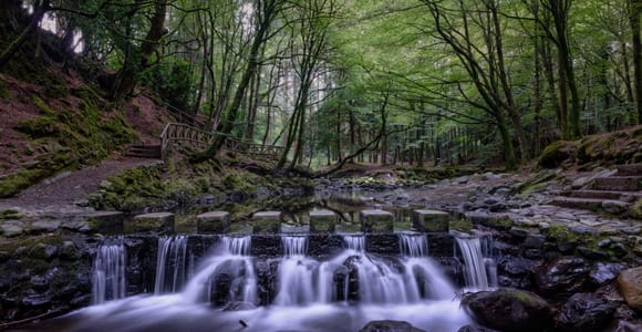 Belfast: Strangford Lough, St Patrick & Mourne Mountain Tour