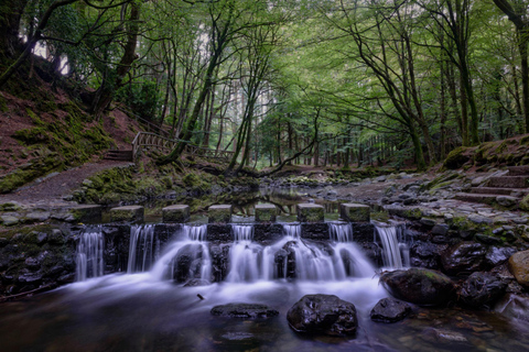 Belfast: St Patrick, Mourne Mountains & Coast Tour