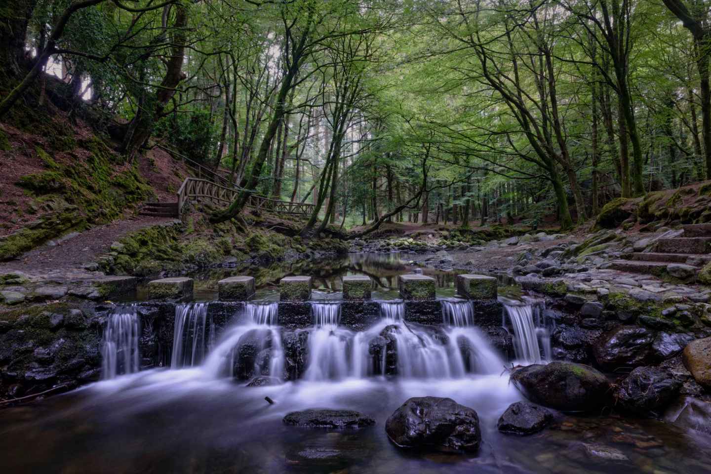 Belfast: Private St Patrick, Mournes & Coast Tour - Belfast: Hidden Ireland - St Patrick's Country Tour