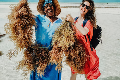 زنجبار: جولة في قرية متندي ومركز الأعشاب البحرية مع خدمة الاستلام