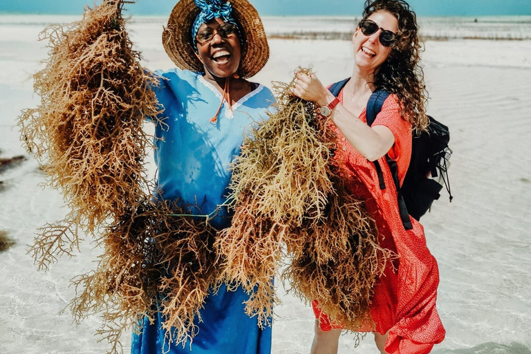 زنجبار: جولة في قرية متندي ومركز الأعشاب البحرية مع خدمة الاستلام