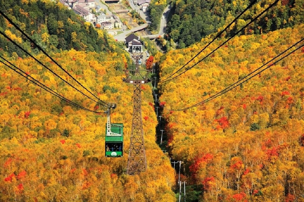 Hokkaido│Kurodake-Seilbahn, Asahiyama-Zoo Herbstlaub-Tour