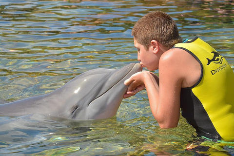 Alanya: Dolphin & Sea Lion Show with Hotel Transfers