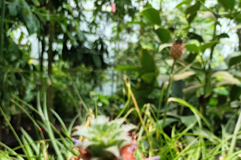 Bogotá: Tropicarium and Botanical Garden Entry Ticket