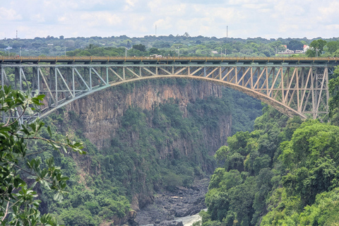 Victoria Falls Cross-Border Tour:Big Tree & Historic Bridge