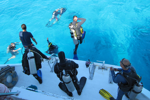 Sharm: Wycieczka morska na Białą Wyspę ze snorkelingiem, nurkowaniem i lunchemWspólna wycieczka z nurkowaniem, snorkelingiem i lunchem