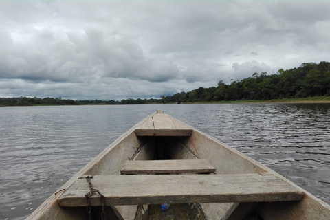 L&#039;Odyssée de l&#039;Amazonie : Explorez les merveilles de la forêt tropicale grâce à nos circuits !