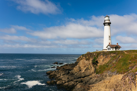 Desde San Francisco: tour de un día a Monterey y Carmel