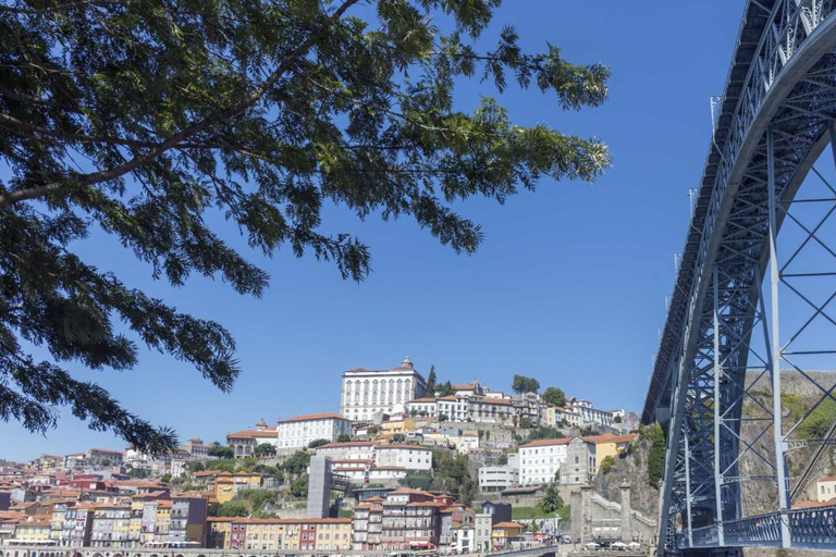 Algarve: Private Transfer to Porto with Stops up to 3 Cities No Stops (One-way trip)