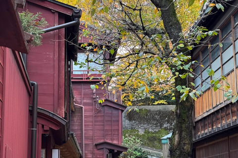 Kanazawa Wagashi Making, Kaiseki, Geisha & Samurai All Tour
