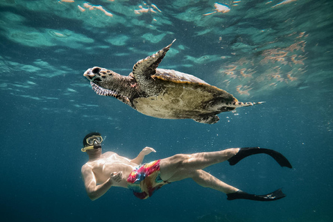 De Gili Air : Snorkeling com tartarugas e estátua subaquáticaViagem privada de snorkeling - 4 horas