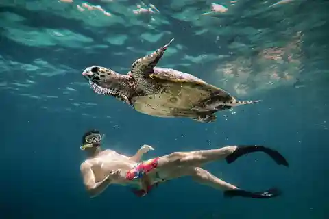 Depuis Gili Air : Plongée en apnée avec les tortues et la statue sous-marine