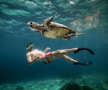 From Gili Air: Snorkeling with Turtles & Underwater Statue