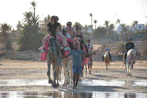 Disfruta de la Aventura durante 2,5 horas con Caballos y Camellos