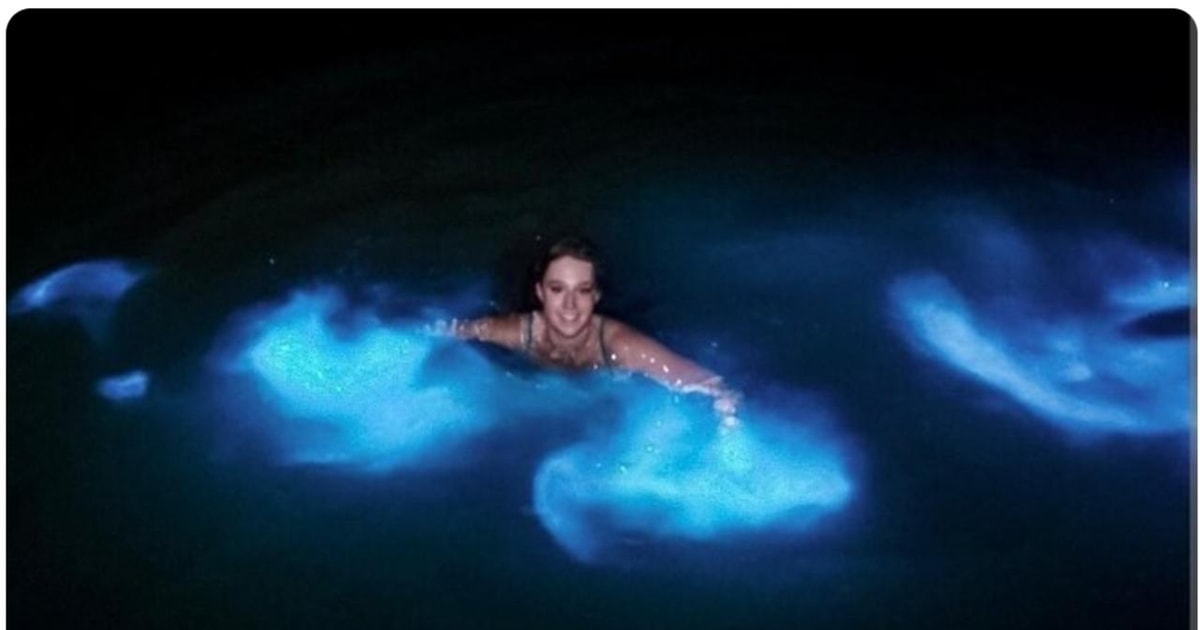 Luminous lagoon : Night Tour from Ocho Rios and Runaway Bay | GetYourGuide