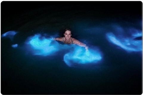 Luminous lagoon : Night Tour from Ocho Rios and Runaway Bay