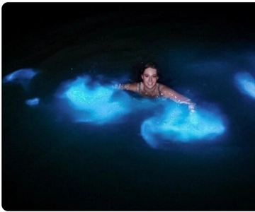 Lichtgevende lagune: Avondtour vanuit Ocho Rios en Runaway Bay