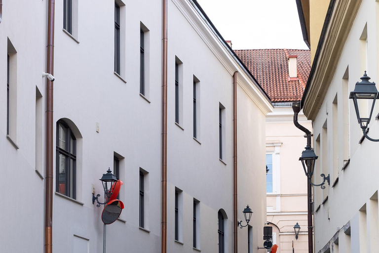 Vilnius: Privé stadsrondleiding van een halve dag met een minibusje