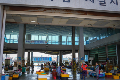 Busan: Power Walk Tour with a Local Mate