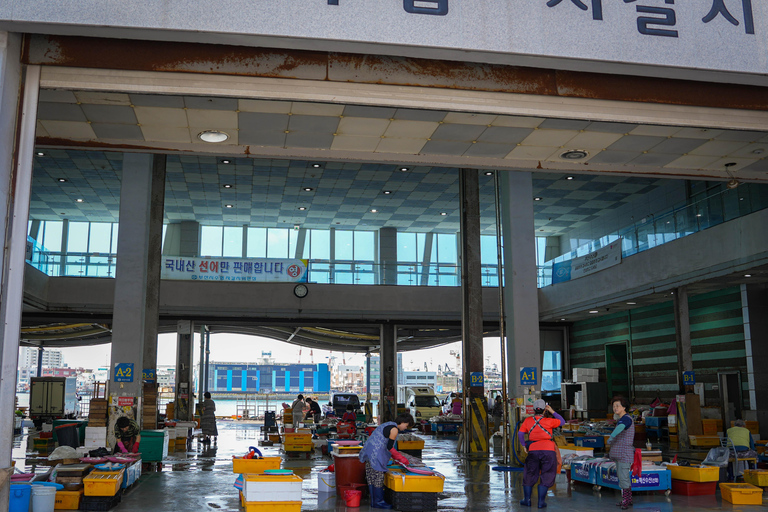 Busan: Power Walk Tour with a Local Mate