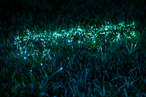 Porto: Serralves Em Luz Immersive Light Show Entry Ticket