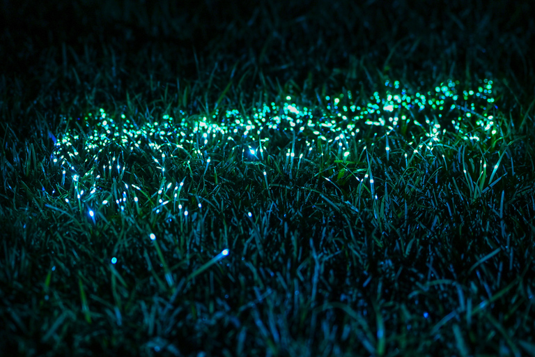 Porto: Serralves Em Luz Immersive Light Show Entry Ticket