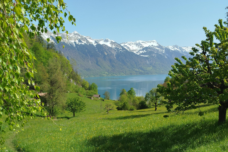 Bönigen: Szlak nad jeziorem i wędrówka do wodospadów Giessbach
