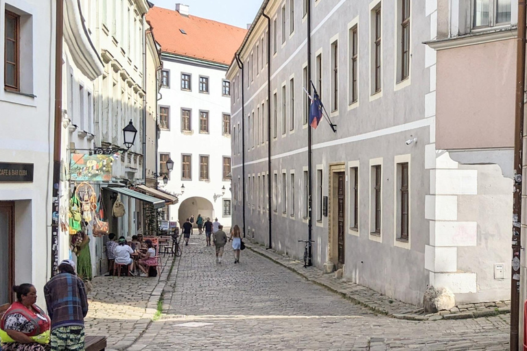 Bratislava: Guidad stadsvandring i den historiska stadskärnan