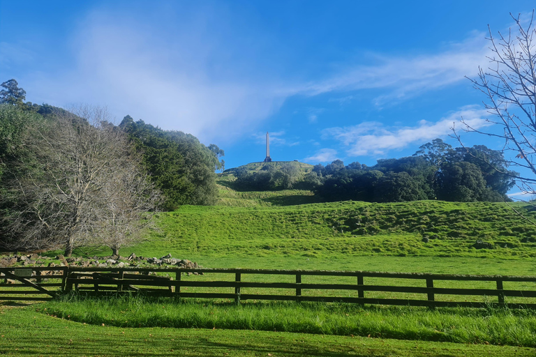 Tour di un giorno intero dei punti salienti della città di Auckland