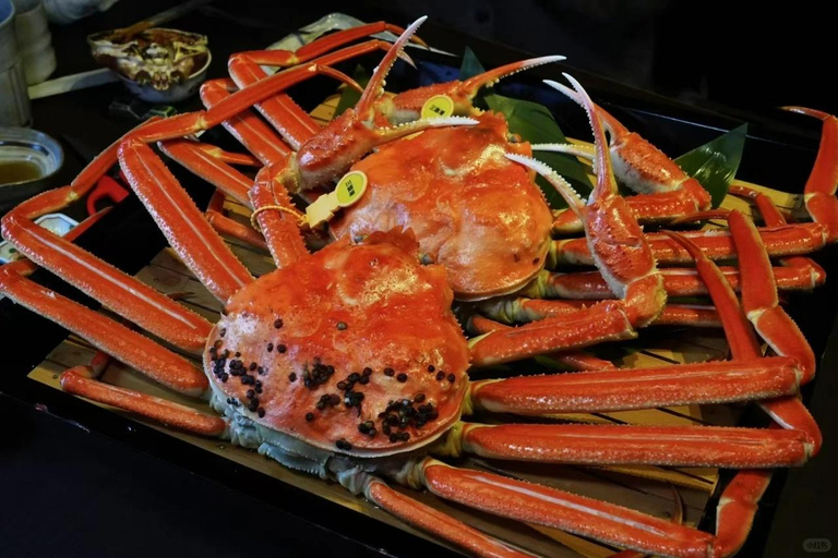 4-Day Cultural Tour from Tokyo to Kanazawa & Fukui 4-Day from Tokyo to Kanazawa & Fukui（No tour guide）