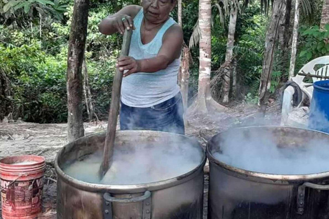 Ayahuasca Ceremony in Iquitos