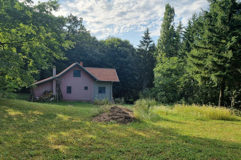 Depuis Belgade : Mtn. Kosmaj - Randonnée à cheval et excursion d'une journéeDéfiez l'aventure : randonnée à cheval et randonnée pédestre à la journée