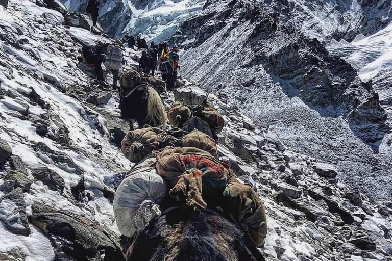 Kathmandu: Manaslu Circuit Trek 16-Day Guided Tour