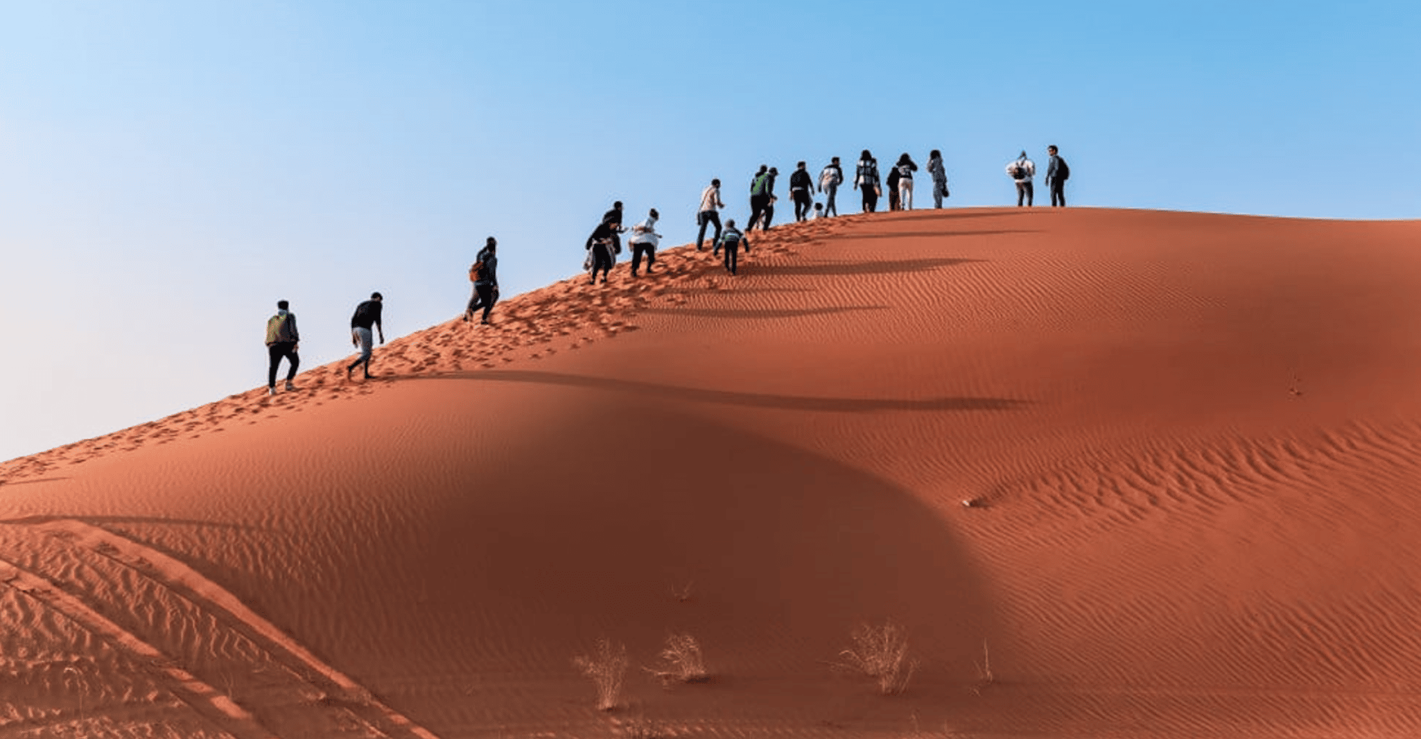 Safari de sable rouge - Hizvo
