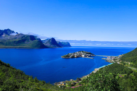 Från Tromsö: Dagsutflykt till Senja