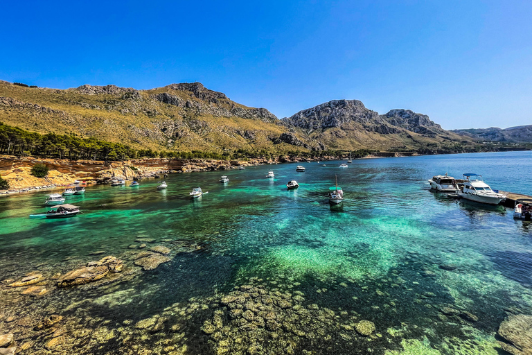 Can Picafort: 2h Private Boat Tour with Swim-Snorkel & Caves Can Picafort: Private Boat Tour 2 h - Höhlen/ Beach