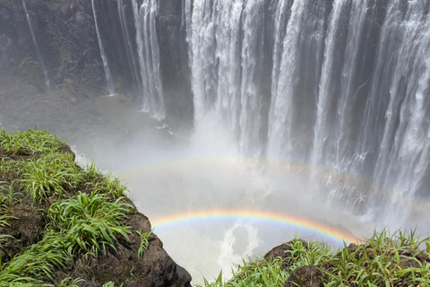 Victoria Falls: Rainbow Guided Tour