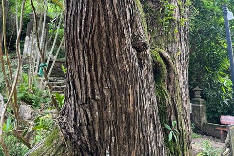 Tour panoramico della città di Đà Nẵng in privato con guida femminileTour privato in auto