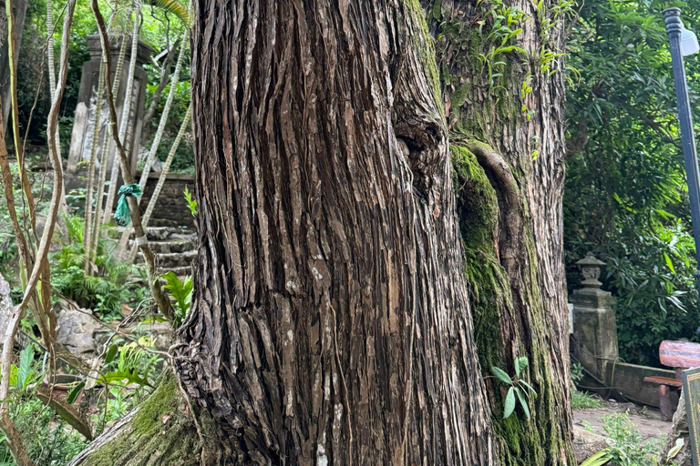 Tour panoramico della città di Đà Nẵng in privato con guida femminileTour privato in auto