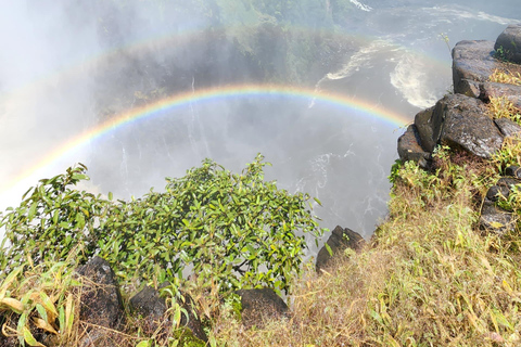Victoria Falls Zimbabwe: Mosi-oa-Tunya Walk with Local Guide