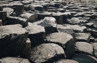Ab Belfast: Giants Causeway und Belfast Black Taxi Tour