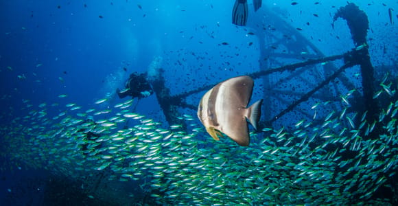 Pattaya: 3-Day Open Water Scuba Diving Certification Course