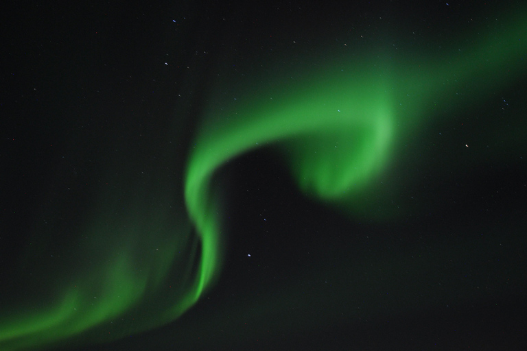 From Tromsø: Aurora Snowshoe Hike