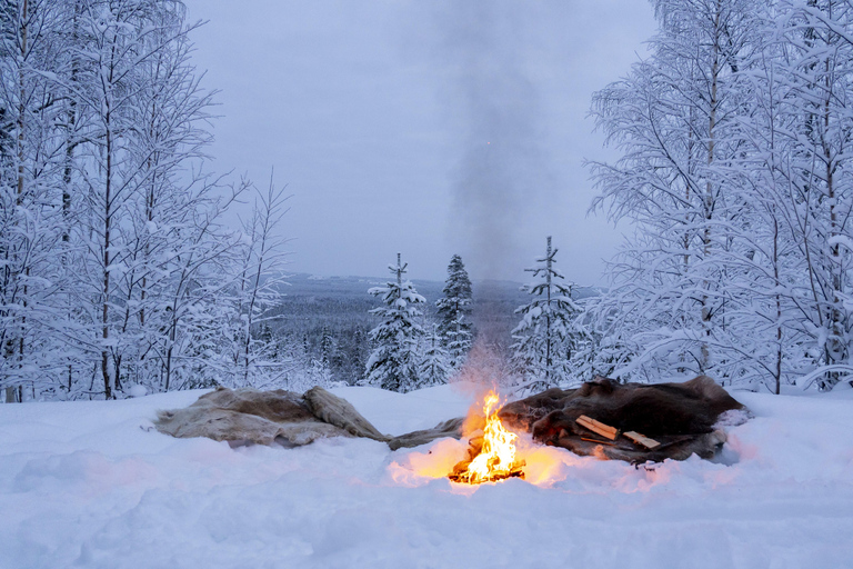 Rovaniemi: giro in slitta trainata da motoslitte con caffè sul fuocoRovaniemi: giro in slitta trainata da motoslitte con caffè davanti al fuoco