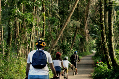 Ubud: Downhill Bike Tour von Kintamani