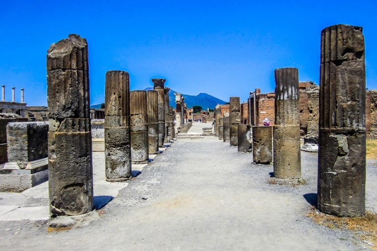 Van Napels / Sorrento: Pompeii en Capri privétour van een hele dagVertrekkend vanuit Napels