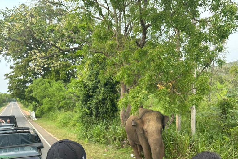 CMB/Negombo: Sigiriya, Kandy & Ella Private Tour with Driver Private Van with Driver – Up to 50 km