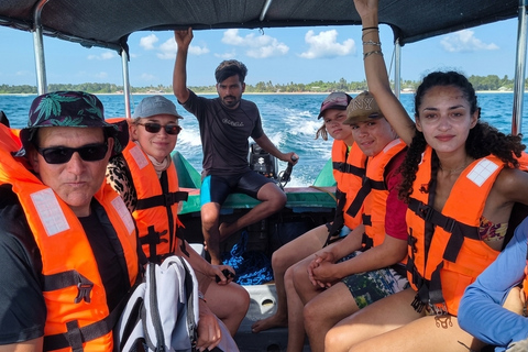 Trincomalee: Whale and Dolphin Watching Tour