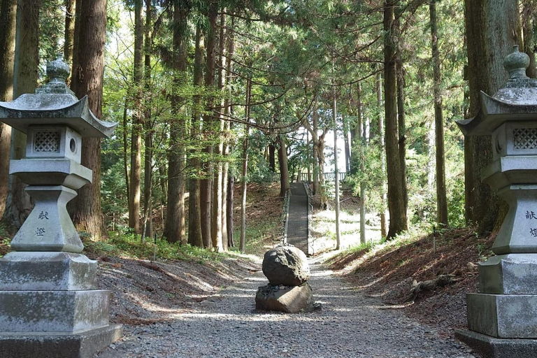 Tokyo: Kamakura Full-Day Private Tour With Best Itinerary